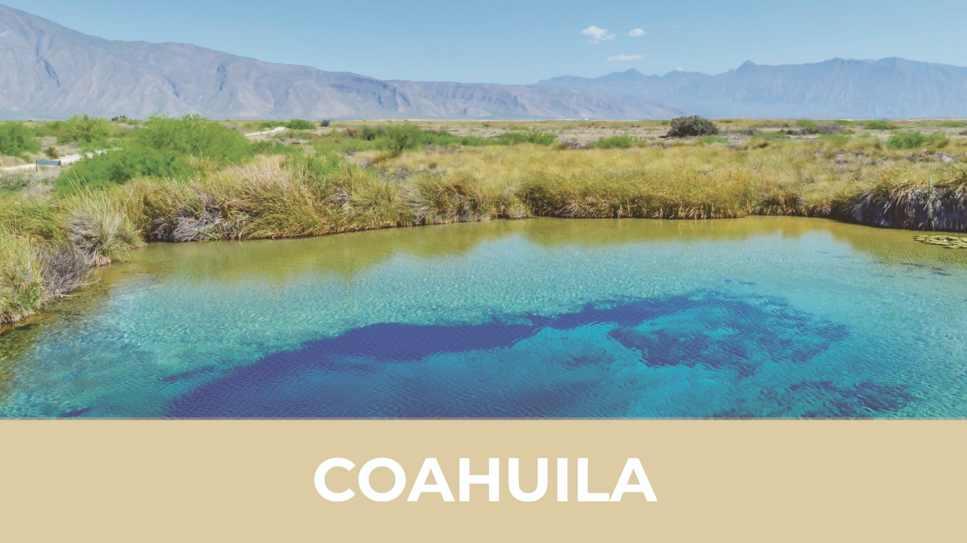 coahuila